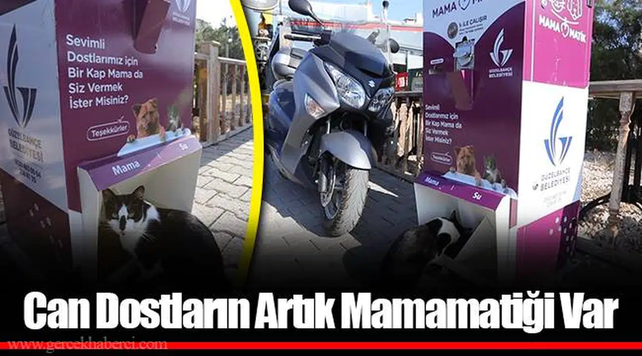 Can Dostların Artık Mamamatiği Var
