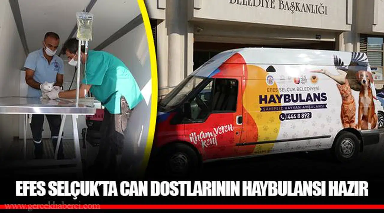 EFES SELÇUK’TA CAN DOSTLARININ HAYBULANSI HAZIR 