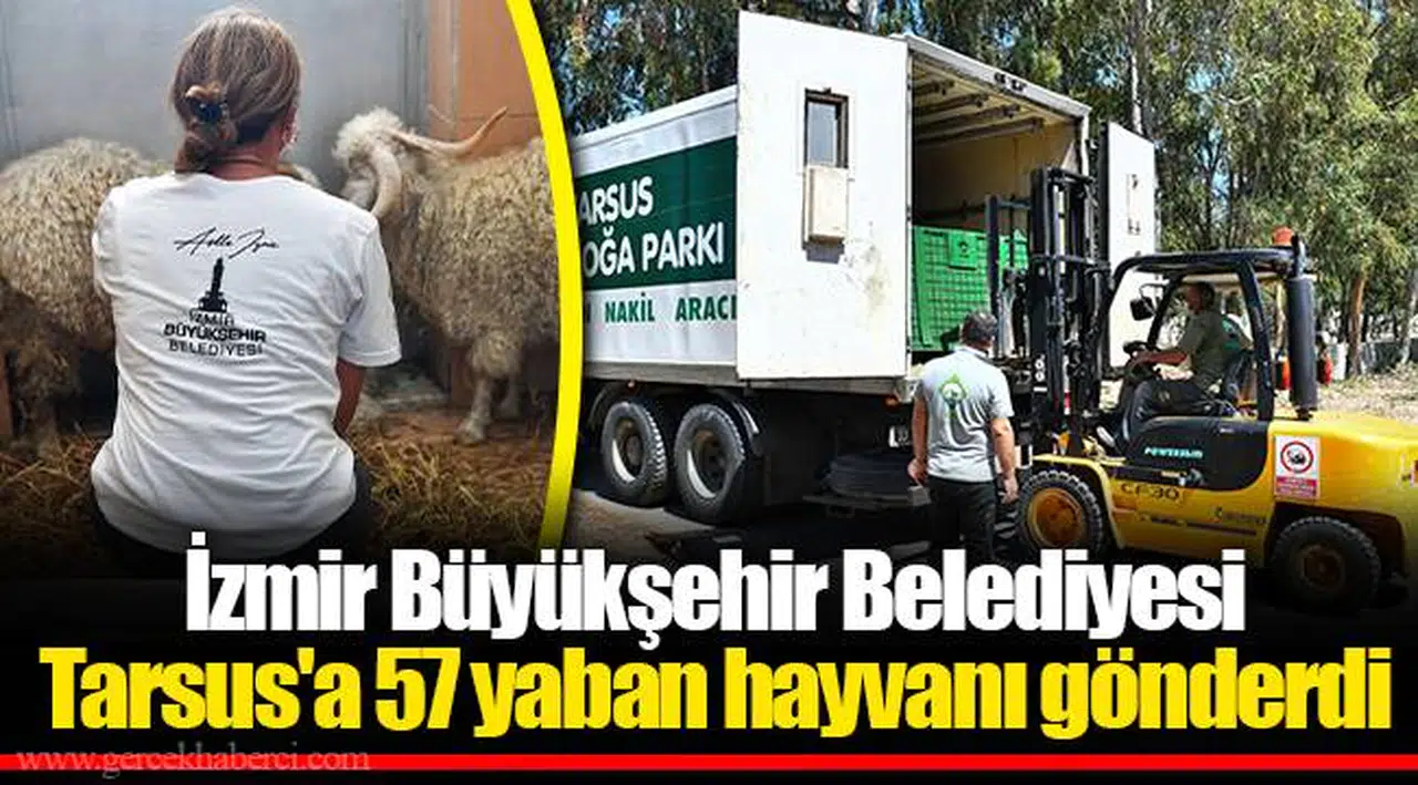 İzmir Büyükşehir Belediyesi Tarsus'a 57 yaban hayvanı gönderdi