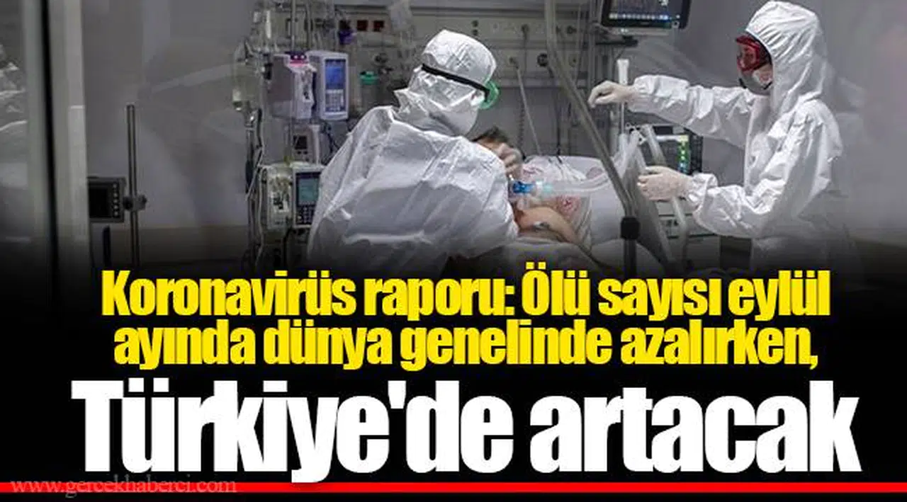 Koronavirüs raporu: Ölü sayısı eylül ayında dünya genelinde azalırken, Türkiye'de artacak