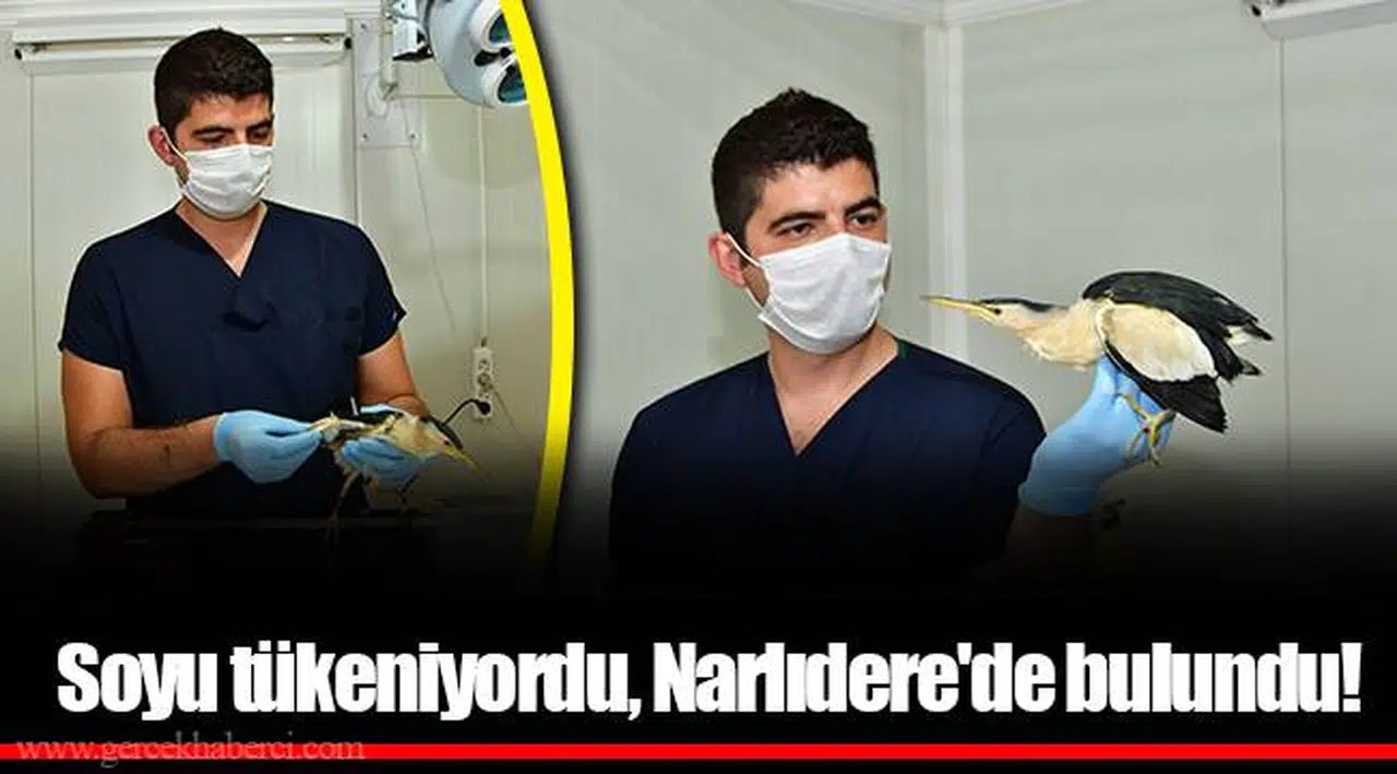 Soyu tükeniyordu, Narlıdere'de bulundu!