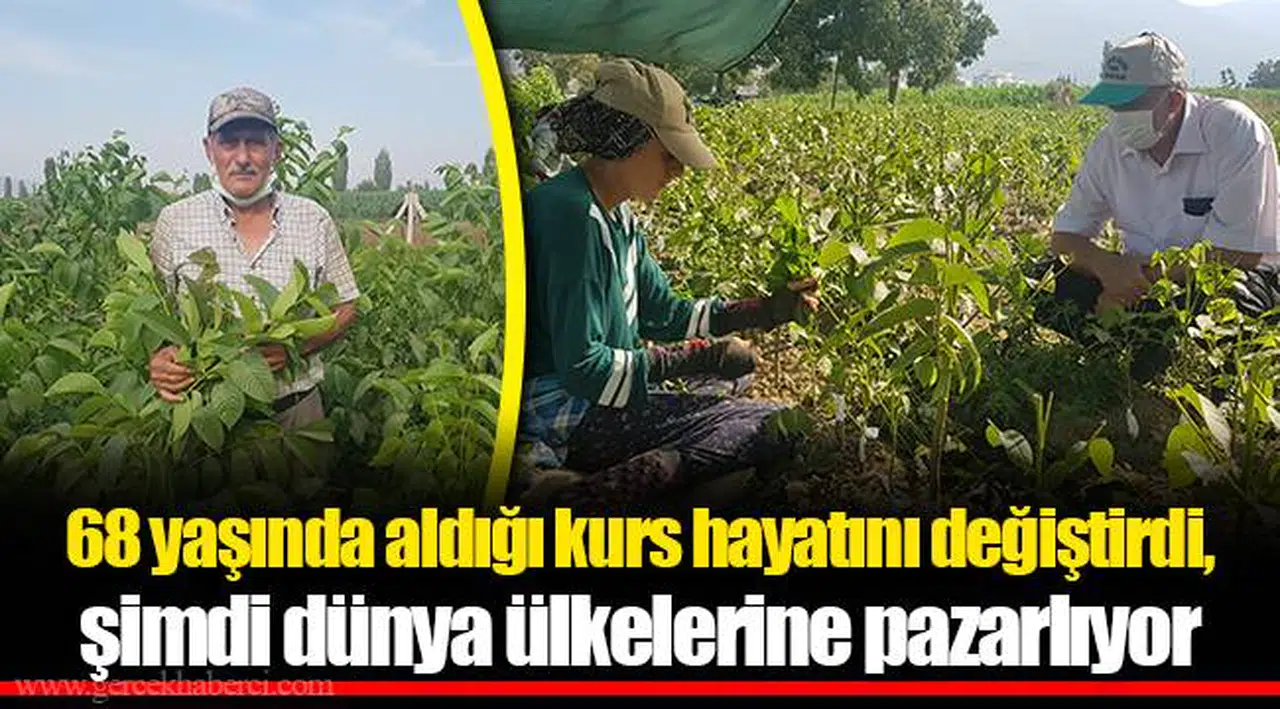 68 yaşında aldığı kurs hayatını değiştirdi, şimdi dünya ülkelerine pazarlıyor