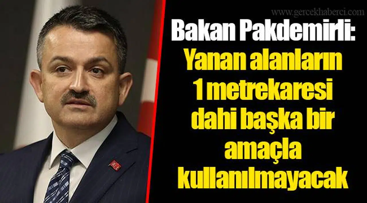 Bakan Pakdemirli: Yanan alanların 1 metrekaresi dahi başka bir amaçla kullanılmayacak