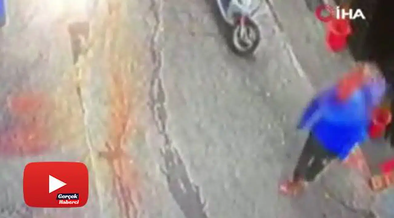 Çevre, Doğa ve Hayvanları Koruma Polisi, o görüntü üzerine harekete geçti
