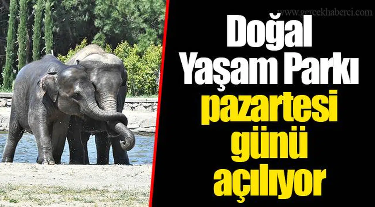 Doğal Yaşam Parkı pazartesi günü açılıyor