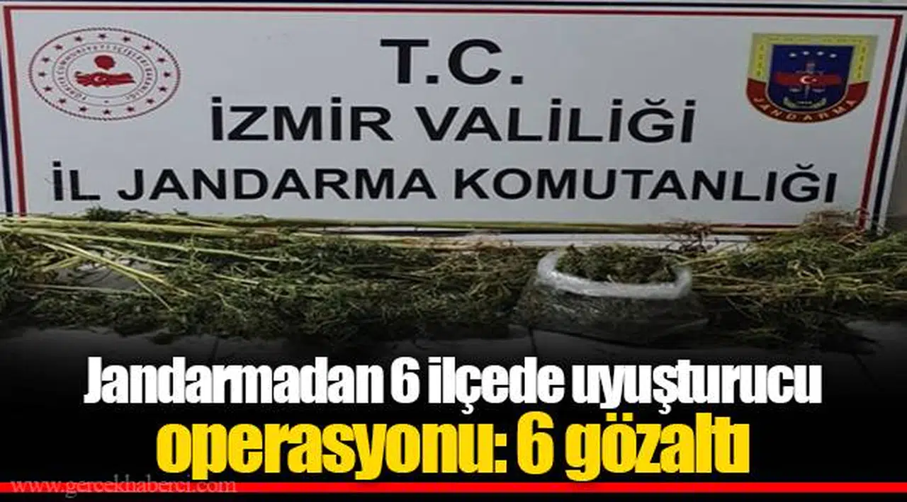 Jandarmadan 6 ilçede uyuşturucu operasyonu: 6 gözaltı