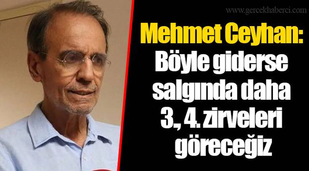 Mehmet Ceyhan: Böyle giderse salgında daha 3., 4. zirveleri göreceğiz