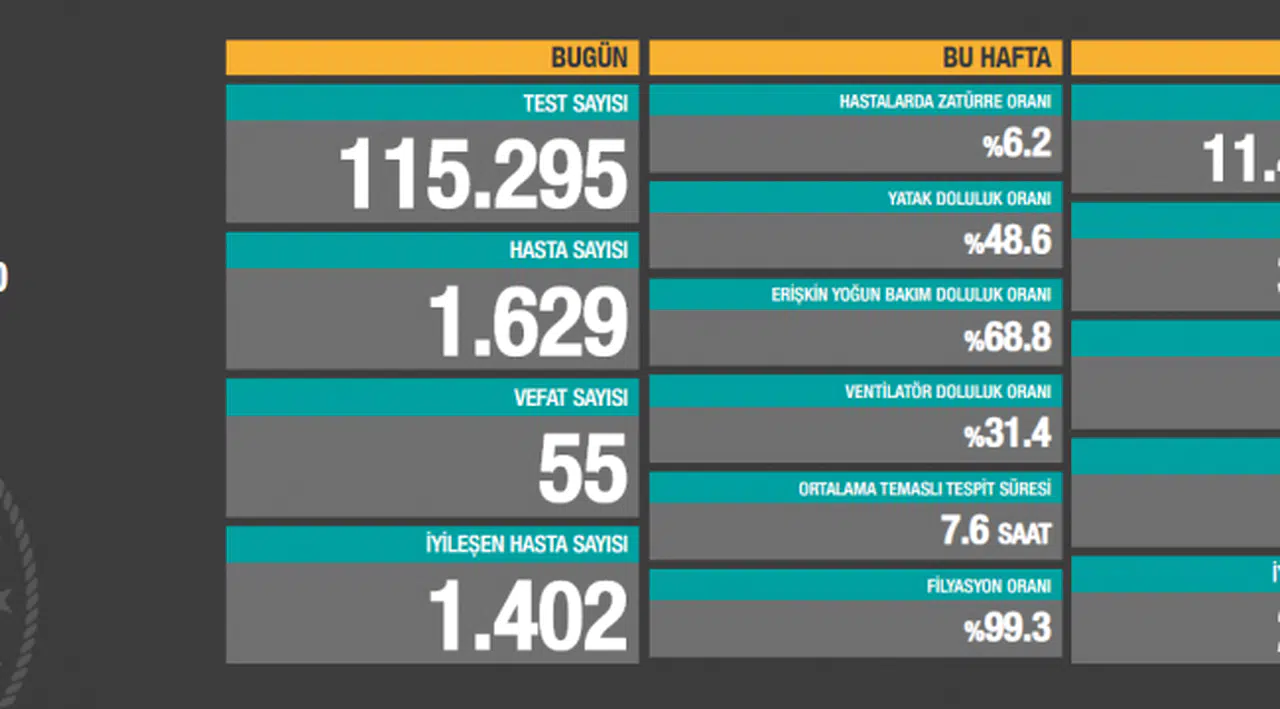 Türkiye'nin koronavirüs tablosunda son rakamlar açıklandı