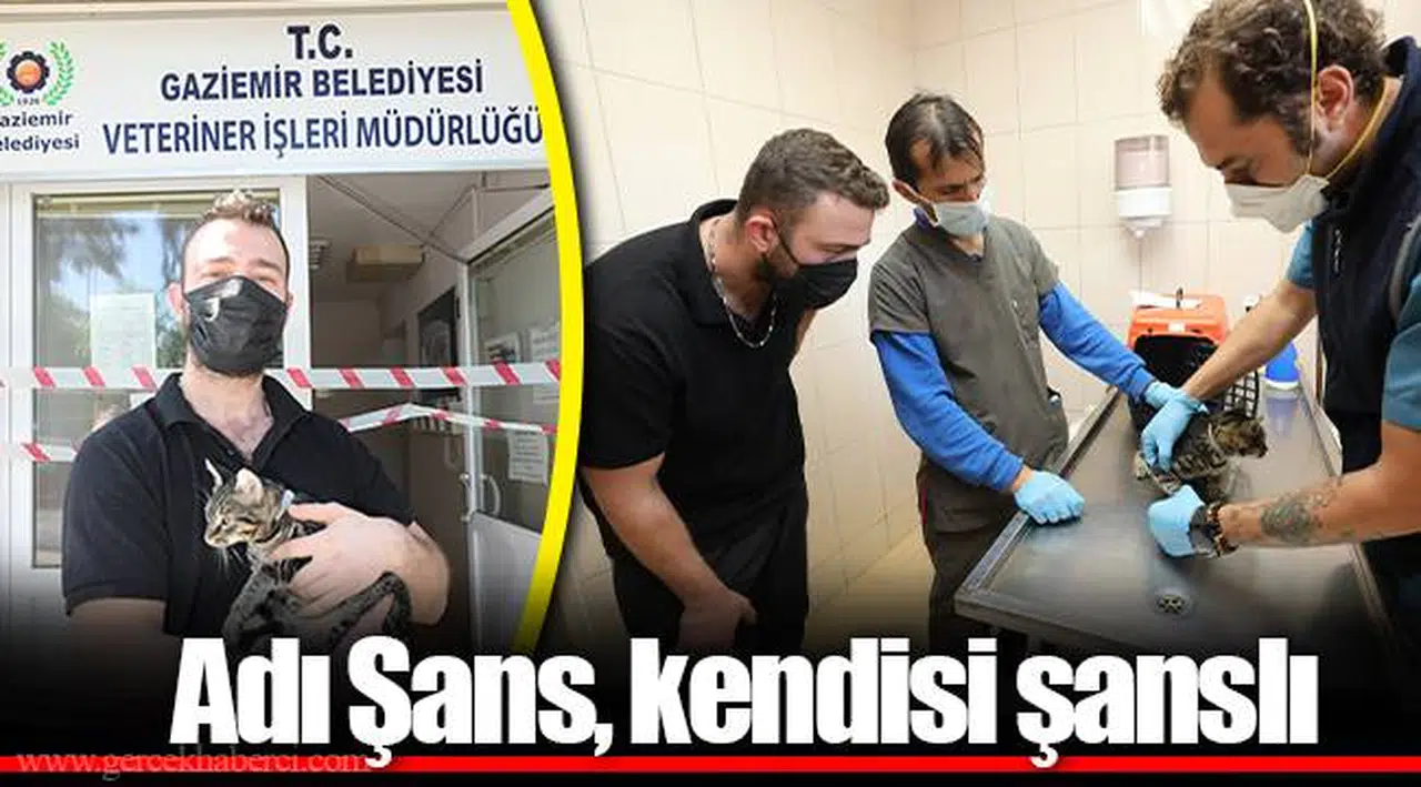 Adı Şans, kendisi şanslı