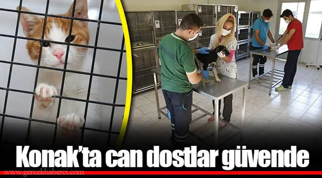 Konak’ta can dostlar güvende