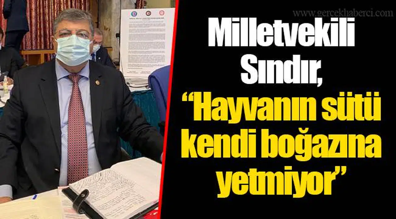 Milletvekili Sındır, “Hayvanın sütü kendi boğazına yetmiyor”