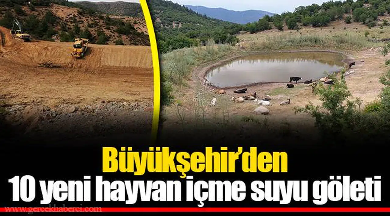 Büyükşehir’den 10 yeni hayvan içme suyu göleti