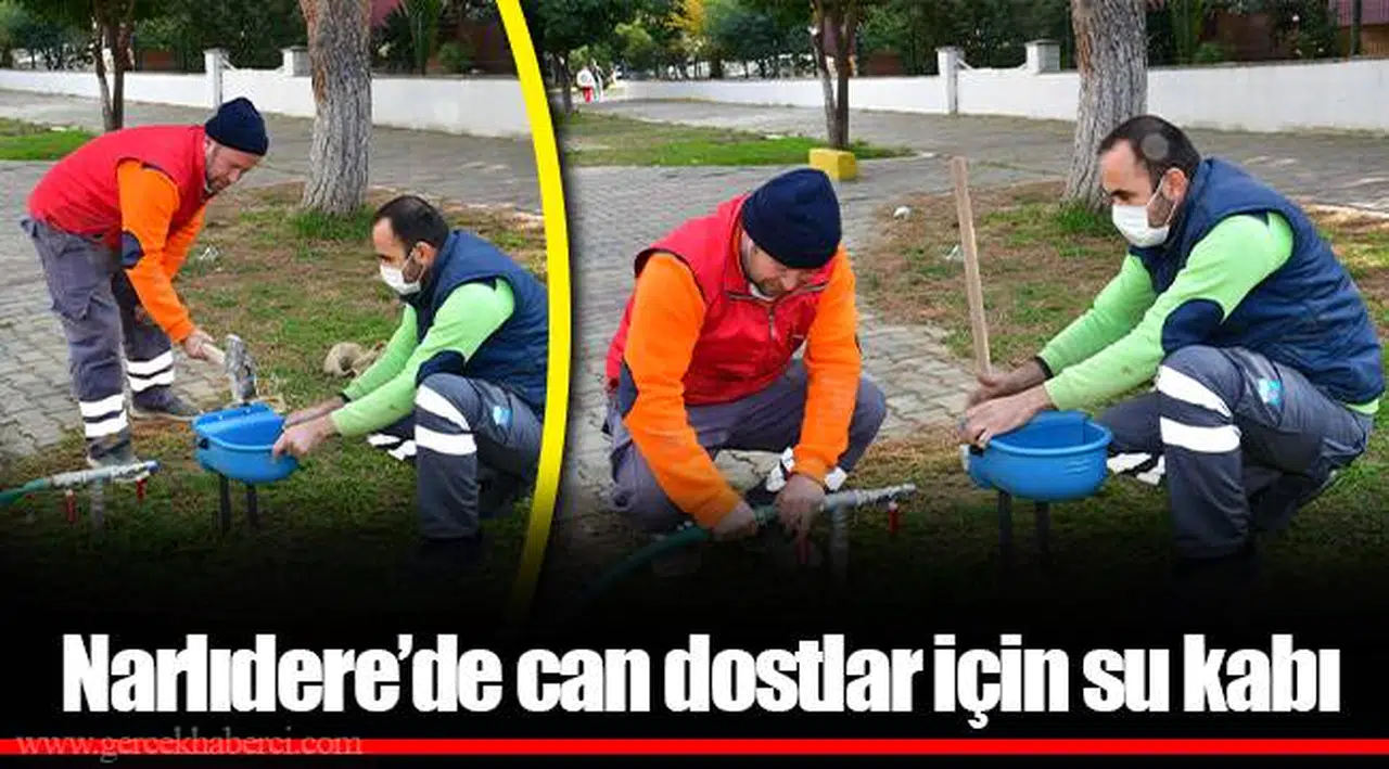Narlıdere’de can dostlar için su kabı