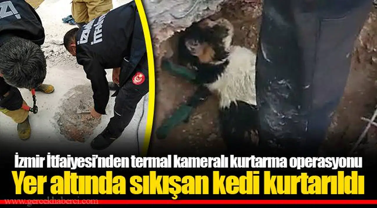 Yer altında sıkışan kedi kurtarıldı