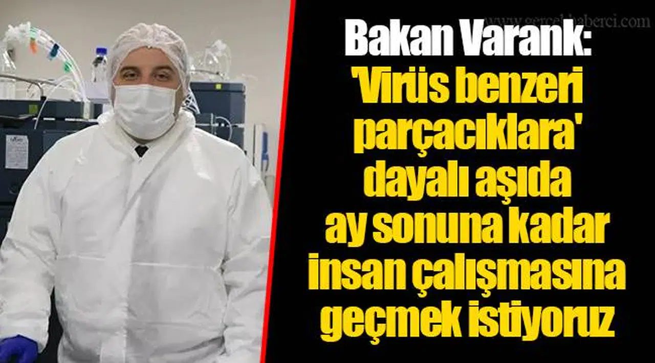 Bakan Varank: 'Virüs benzeri parçacıklara' dayalı aşıda ay sonuna kadar insan çalışmasına geçmek istiyoruz