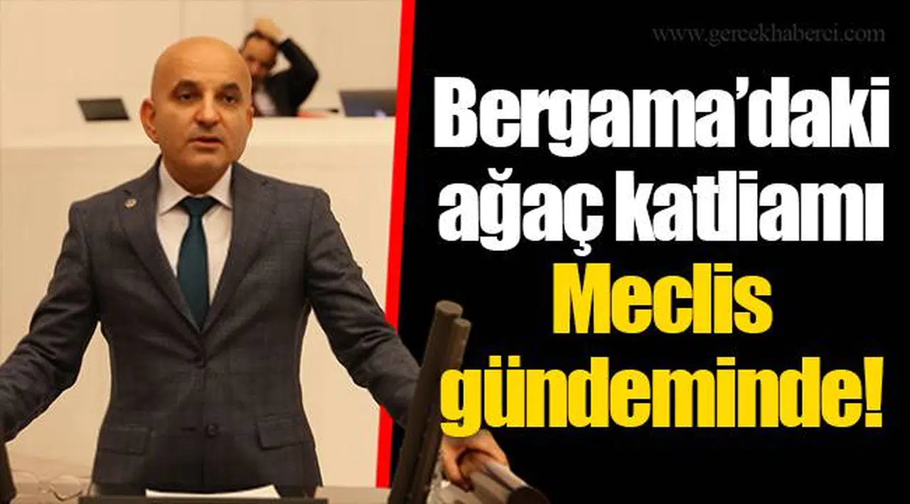 Bergama’daki ağaç katliamı Meclis gündeminde!
