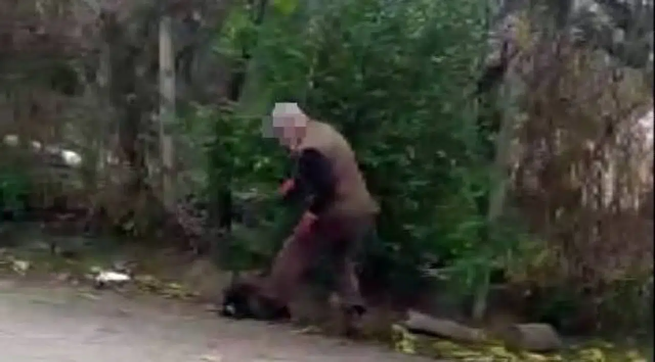 Gözyaşları içinde yavru köpeklere yardım etmek istedi, komşusundan tokat yedi