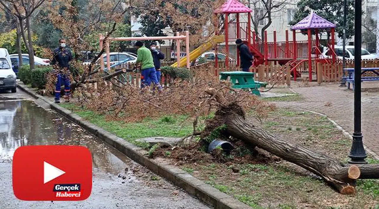 Hortum ağaçları kökünden söktü, çatıları uçurdu
