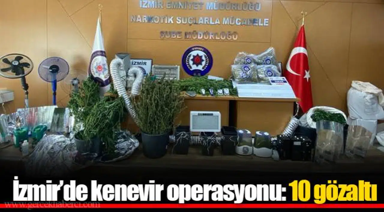 İzmir’de kenevir operasyonu: 10 gözaltı