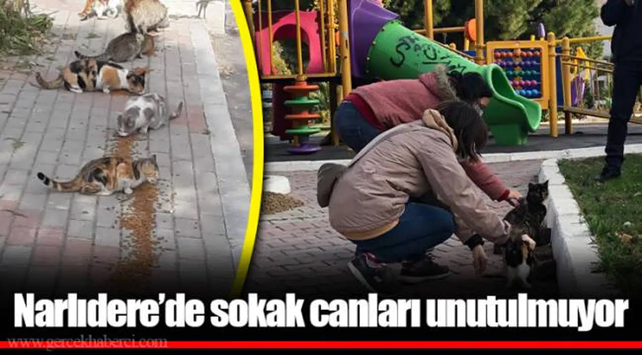 Narlıdere’de sokak canları unutulmuyor