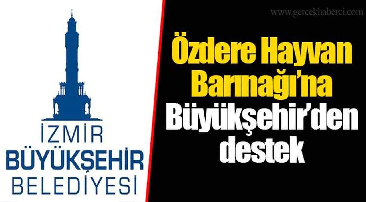 Özdere Hayvan Barınağı’na Büyükşehir’den destek