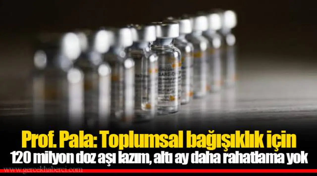 Prof. Pala: Toplumsal bağışıklık için 120 milyon doz aşı lazım, altı ay daha rahatlama yok