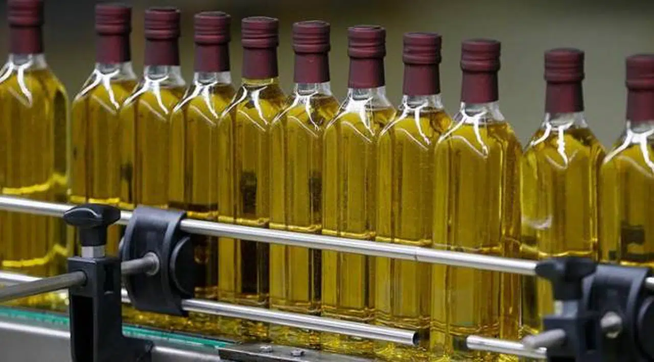 Sabah yazarı: Almanya, topraklarında neredeyse hiç yetişmeyen zeytinin yağını bizden ucuza tüketiyor