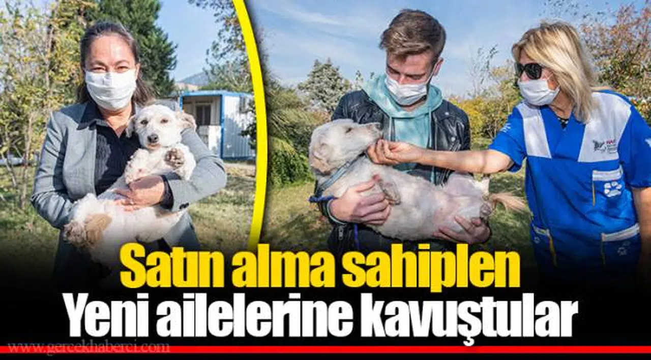 Satın alma sahiplen