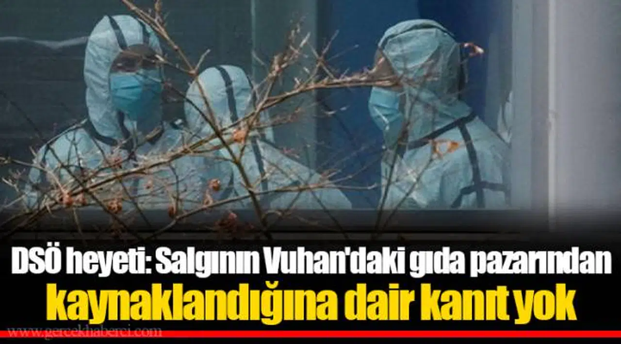 DSÖ heyeti: Salgının Vuhan'daki gıda pazarından kaynaklandığına dair kanıt yok