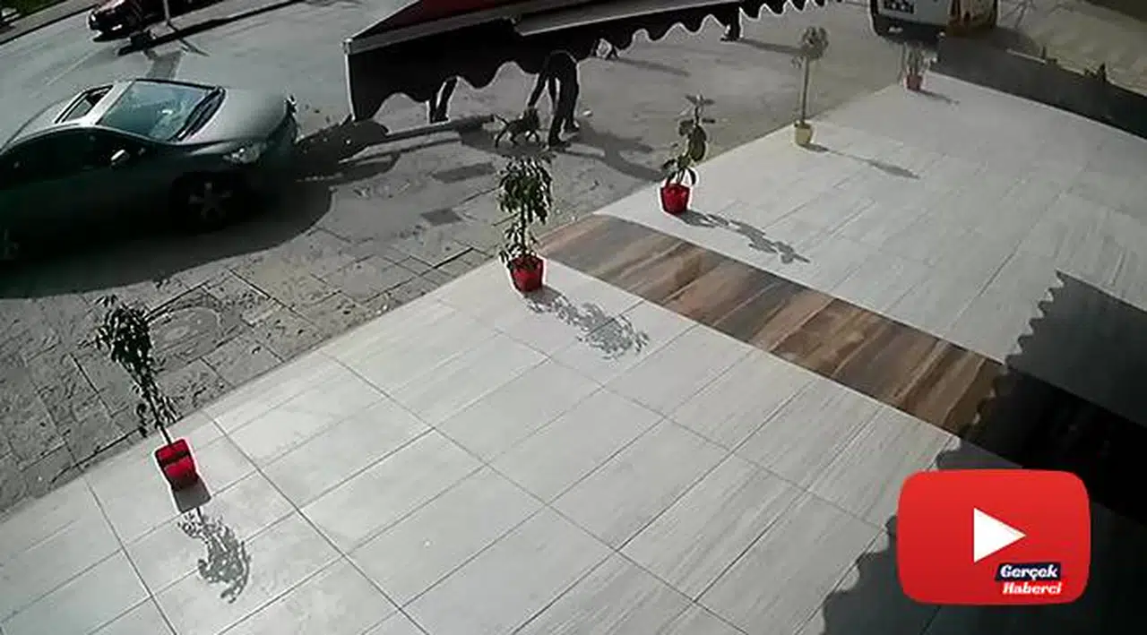 Fren yerine gaza basan kadın sürücü önce trafik ışığını ardından 3 yayayı ezdi