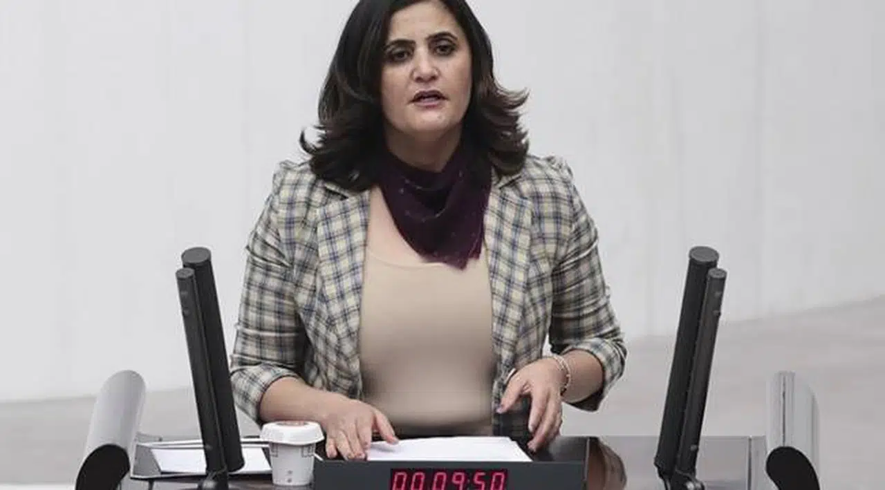 HDP'li Taşdemir'den Bakan Soylu'ya "Gara" tepkisi: Ordunun bile girmekte zorlandığı bölgeye ne zaman gittim?