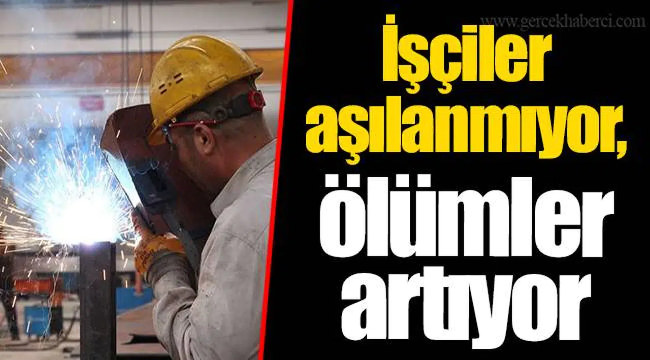 İşçiler aşılanmıyor, ölümler artıyor