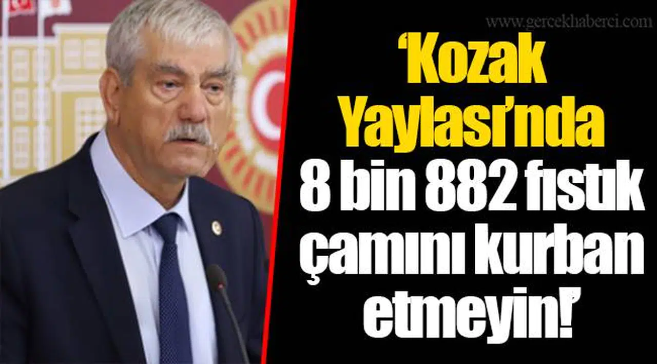 ‘Kozak Yaylası’nda 8 bin 882 fıstık çamını kurban etmeyin!’