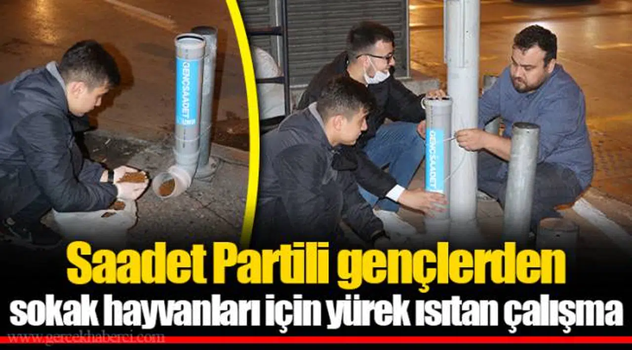 Saadet Partili gençlerden sokak hayvanları için yürek ısıtan çalışma