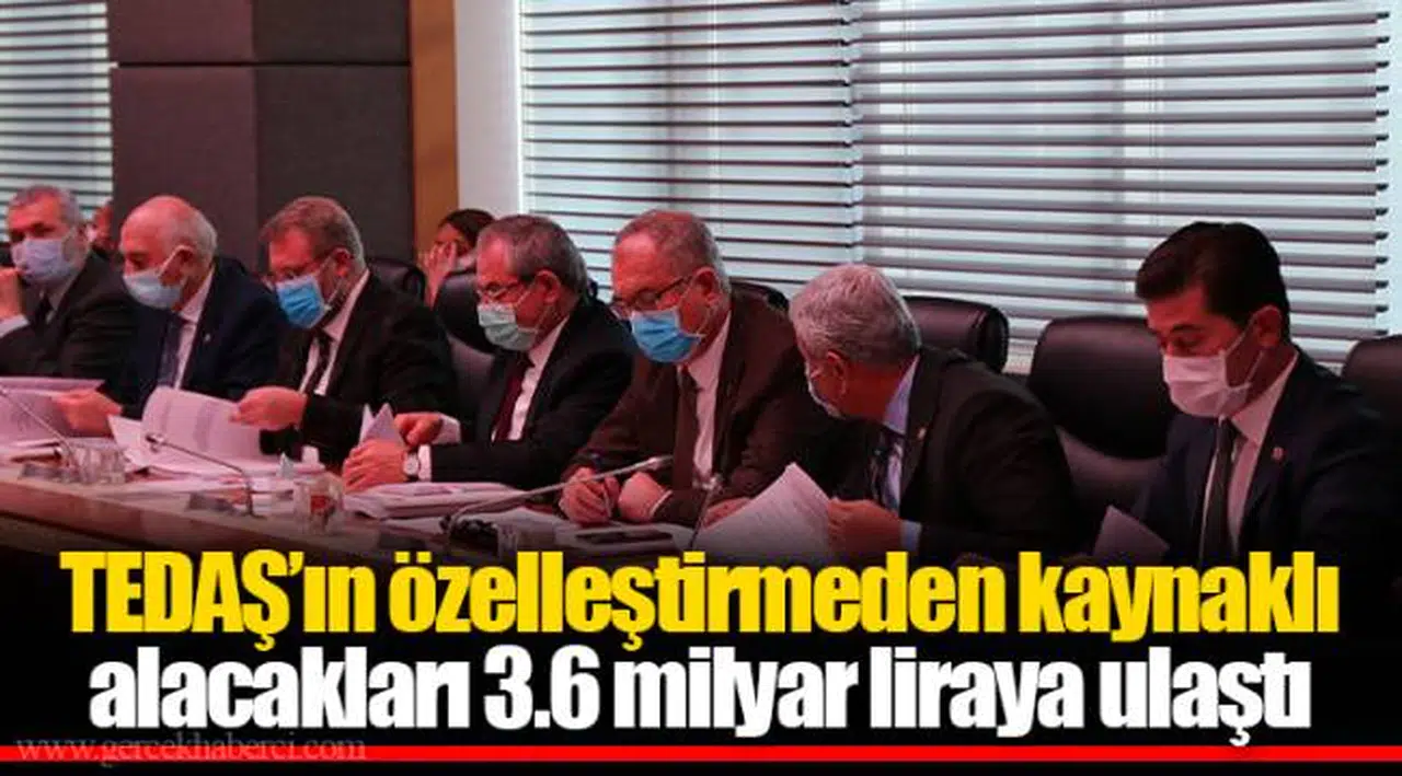 TEDAŞ’ın özelleştirmeden kaynaklı alacakları 3.6 milyar liraya ulaştı