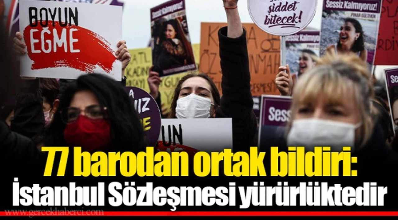 77 barodan ortak bildiri: İstanbul Sözleşmesi yürürlüktedir