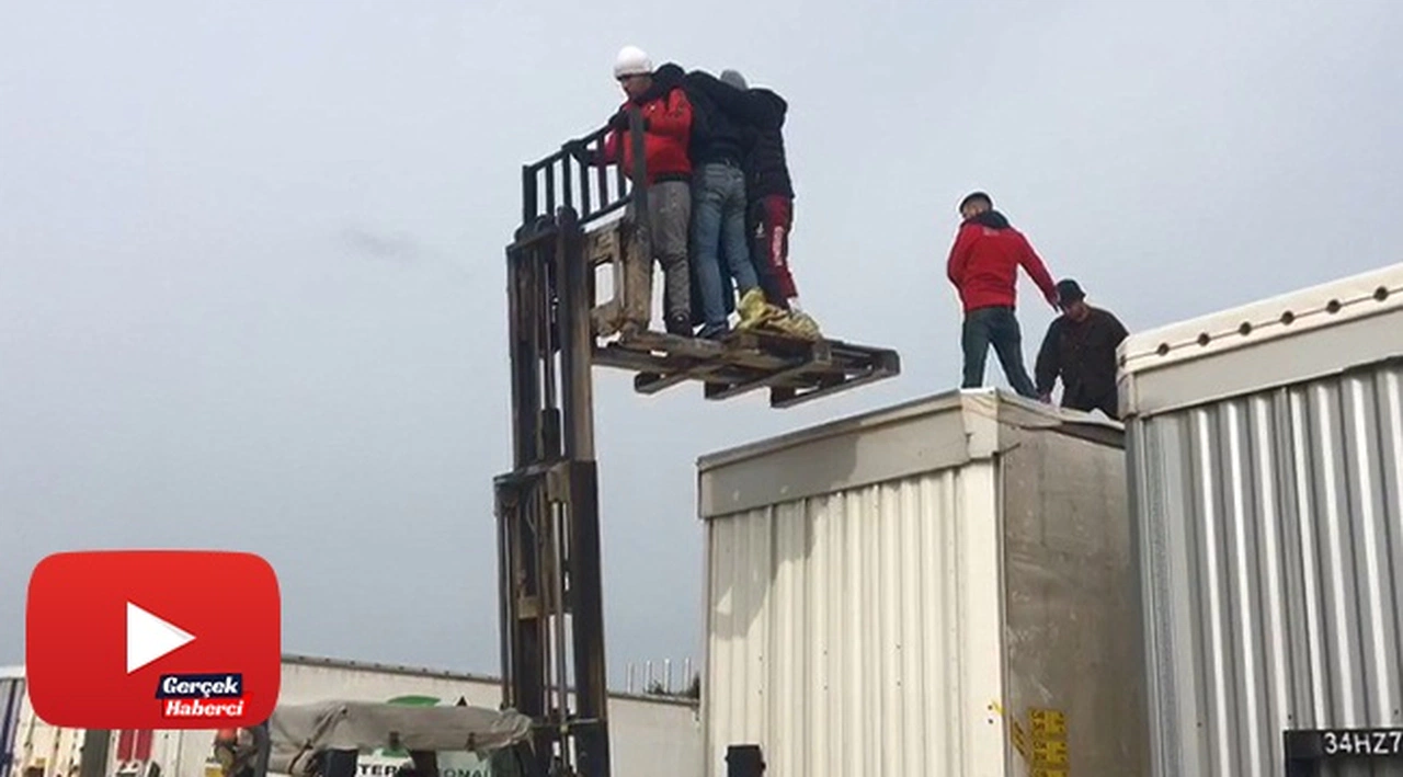 Avrupa'ya kaçmak için dorsede sabahlayan göçmenler forkliftle böyle çıkarıldı