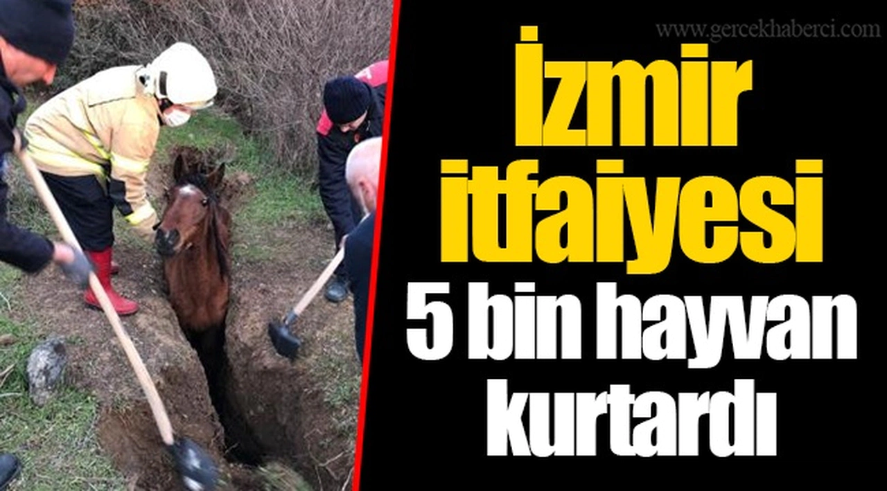 İzmir itfaiyesi 5 bin hayvan kurtardı