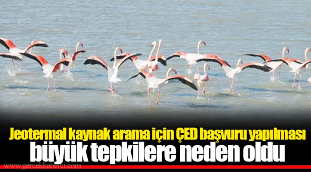 Jeotermal kaynak arama için ÇED başvuru yapılması büyük tepkilere neden oldu
