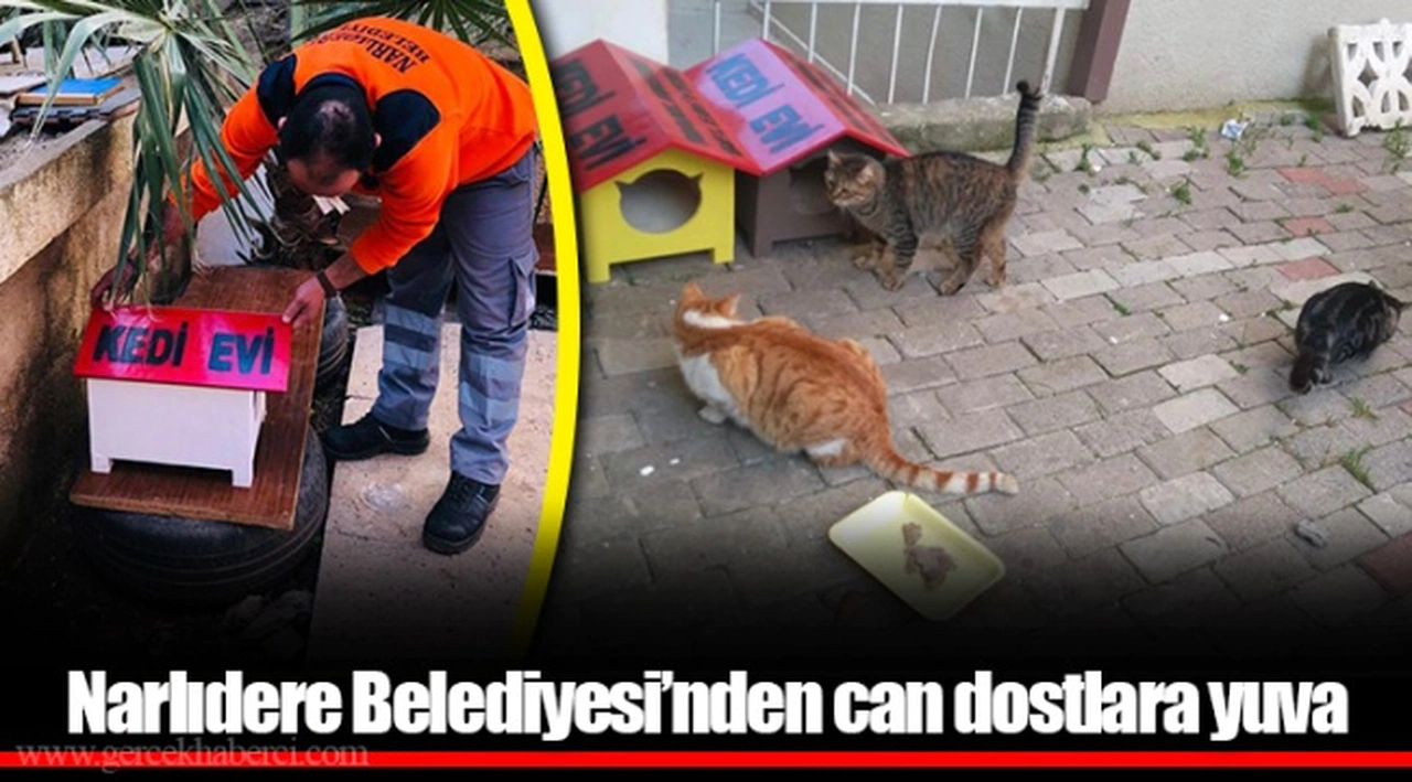 Narlıdere Belediyesi’nden can dostlara yuva