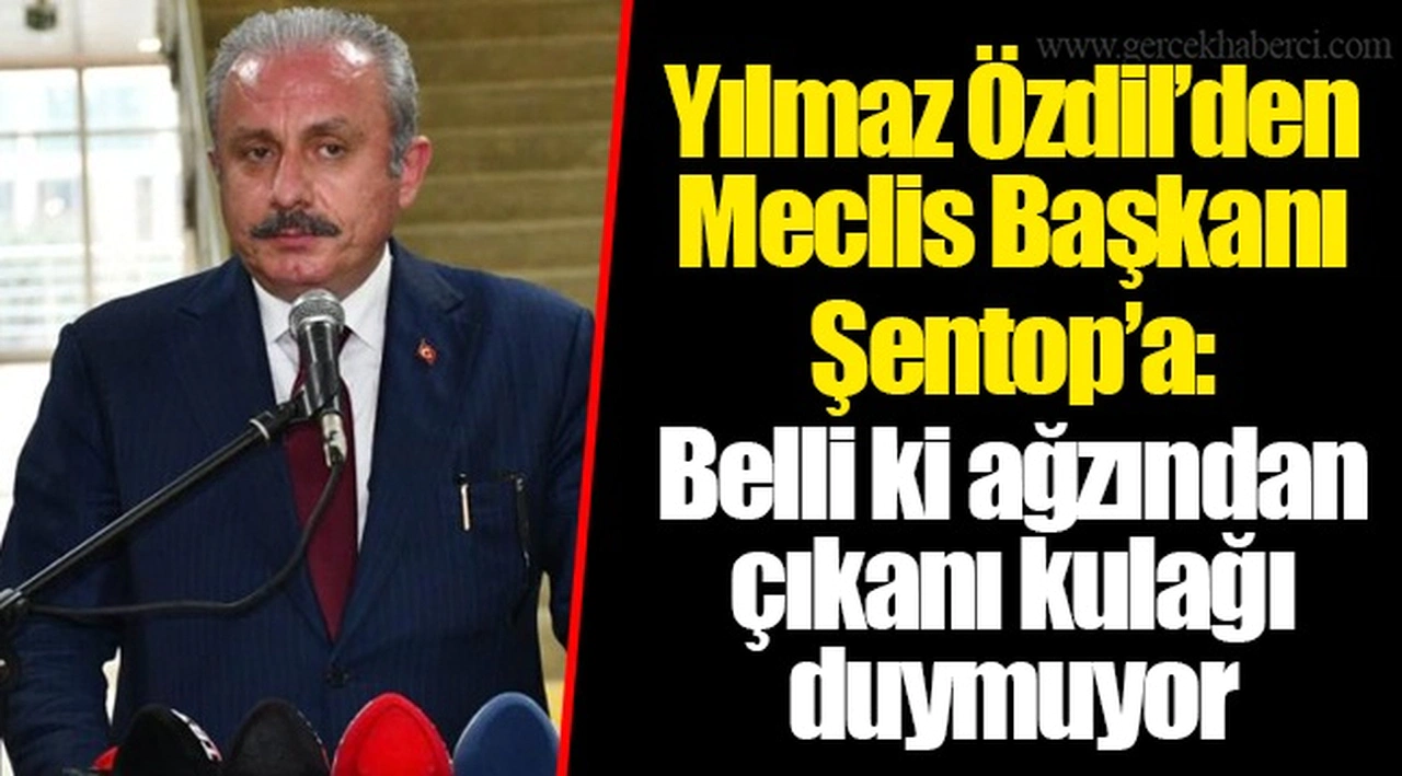 Yılmaz Özdil’den Meclis Başkanı Şentop’a: Belli ki ağzından çıkanı kulağı duymuyor
