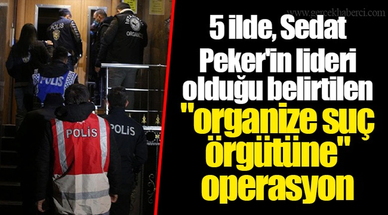 5 ilde, Sedat Peker'in lideri olduğu belirtilen "organize suç örgütüne" operasyon