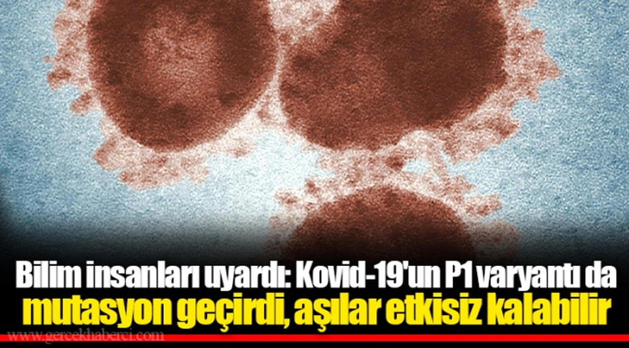 Bilim insanları uyardı: Kovid-19'un P1 varyantı da mutasyon geçirdi, aşılar etkisiz kalabilir