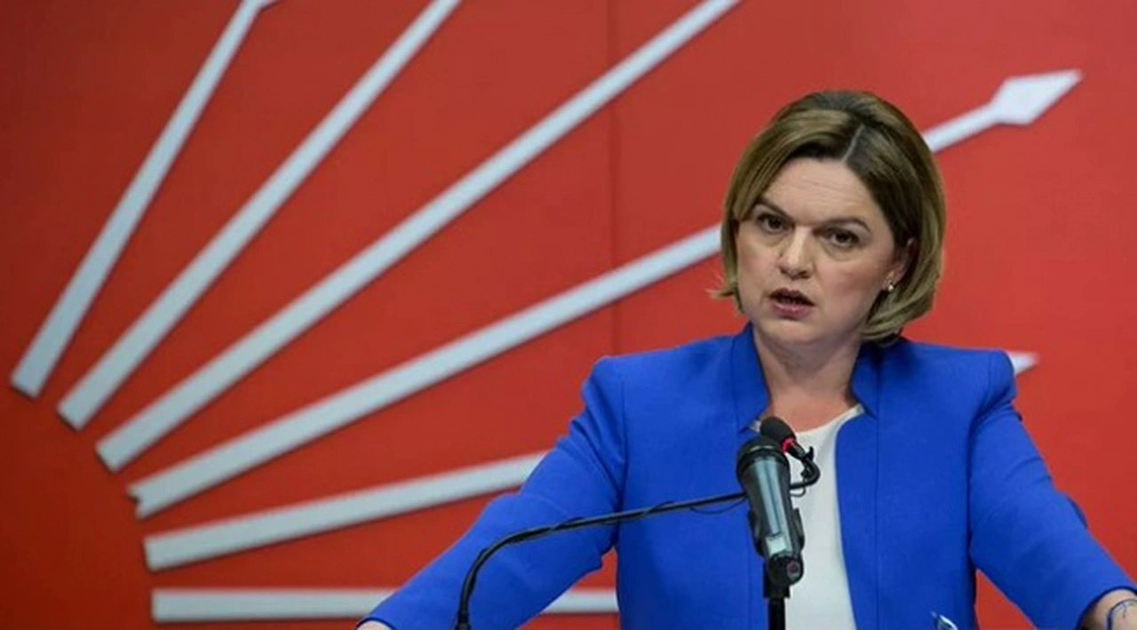 CHP’li Böke: Emekli amirallerin açıklaması anayasal ifade özgürlüğüdür