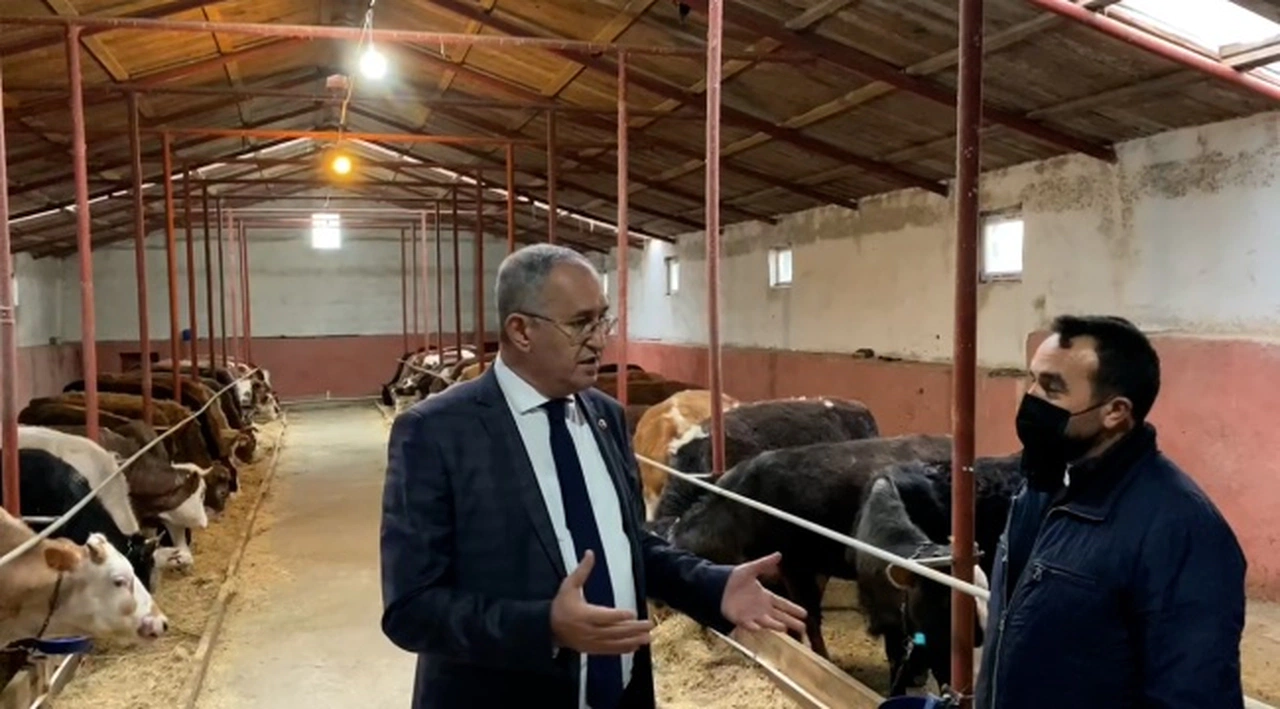 ​​​​​​​ Karslı yetiştiricinin yem fiyatlarına isyanı: KAZANAMIYORUZ!