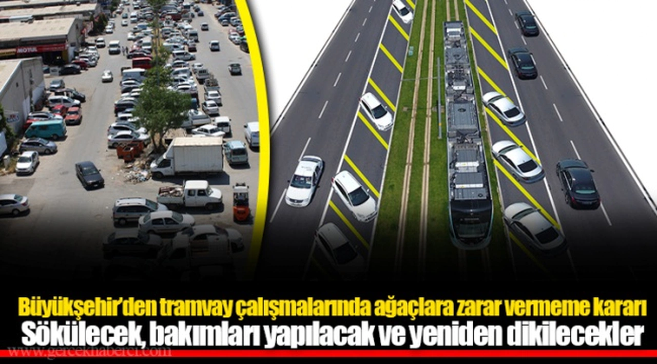 Büyükşehir’den tramvay çalışmalarında ağaçlara zarar vermeme kararı