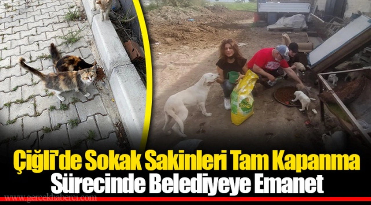 Çiğli'de Sokak Sakinleri Tam Kapanma Sürecinde Belediyeye Emanet