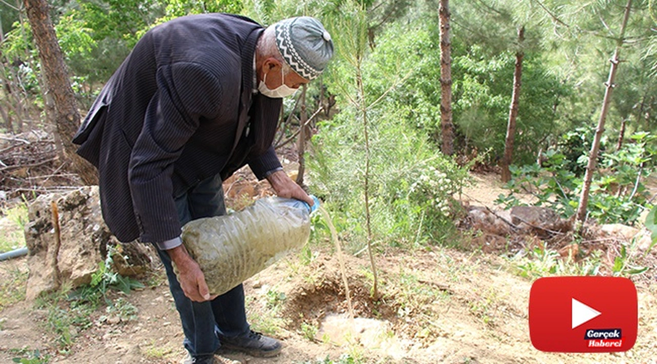 Çöplüğü ormana çevirdi, diktiği ağaçlara gözü gibi bakıyor