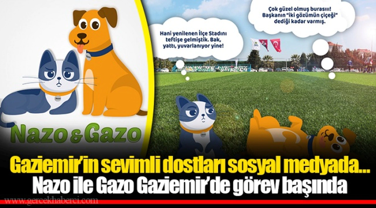 Gaziemir’in sevimli dostları sosyal medyada…