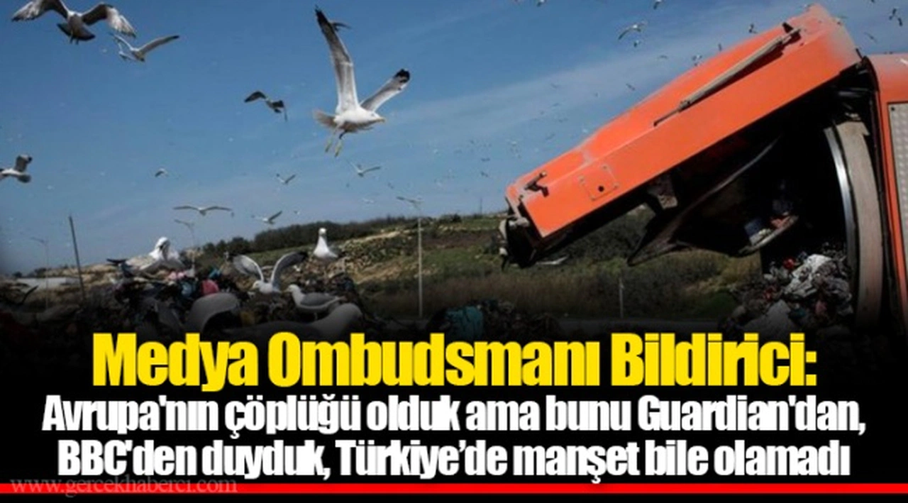 Medya Ombudsmanı Bildirici: Avrupa'nın çöplüğü olduk ama bunu Guardian'dan, BBC'den duyduk, Türkiye’de manşet bile olamadı